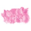 Hen Night Feather Garter