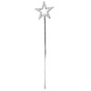 Ladies Night Star Wand