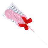 Succulent Willy Lollipop