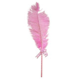 Bondage Boutique Ostrich Feather Tickler