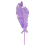 Bondage Boutique Ostrich Feather Tickler