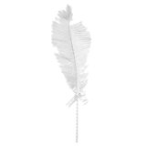 Bondage Boutique Ostrich Feather Tickler
