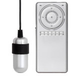 Rends R-1 Controller with USB Vibrating Egg Bullet