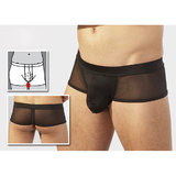Svenjoyment Sheer Wonder Hipster Booster Shorts