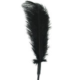 Sportsheets Ostrich Feather Tickler
