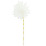 Bondage Boutique Small Feather Tickler