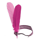 Feather Headband