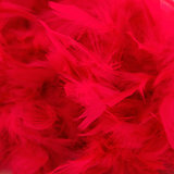 2 Metre Feather Marabou Boa