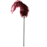 Sportsheets Ostrich Feather Tickler
