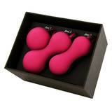 Ami by Je Joue 3 Step Kegel System