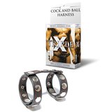 Leather Cock and Ball Harness