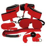 Bad Kitty 5 Piece Bondage Kit