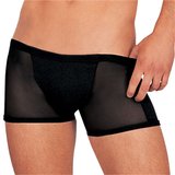 Daring Men's Shorts