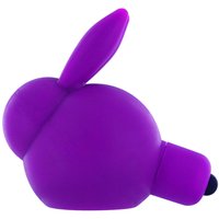 Image of Adpoted Bunny