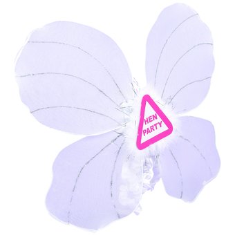 Large Hen Party Wings