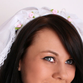Hen Night Bride's Veil (new window)