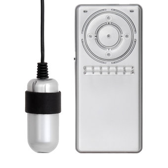 Rends R-1 Controller with USB Vibrating Egg Bullet