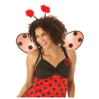 Ladybird Boppers and Wings (new window)