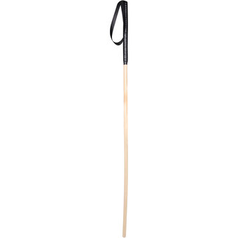 Fetish Fantasy Singapore Stinger Stick