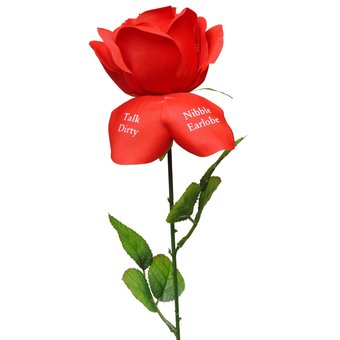 Fleur d'Amour Love Rose Petals