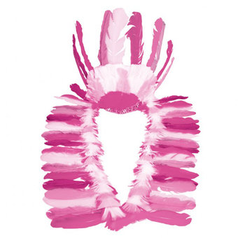 Feather Head Dress