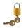 CB-6000 Male Chastity Cage