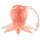 Screaming O Screaming Octopus Clitoral Vibrator