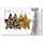 Nippies Dominico Star Nipple Pasties