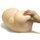 Utensil Race Extreme Hip Life Size Realistic Japanese Vagina and Ass
