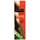 Intimate Organics Daring Anal Relaxing Spray for Men