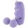 Dual Vibrating Love Balls