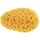 Body Spa Vibrating Sponge