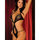 Rene Rofe Sparkle Mesh and Lace Twister Body