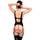 Back view