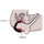 Rocks Off Cheeky Boy Vibrating Prostate Massager