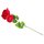 Fleur d'Amour Love Rose Petals