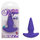 10 Function Risque Vibrating Butt Plug
