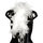 Hen Party 1.5 Metre Feather Boa