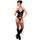 Exposed Liquid Onyx Merry Widow Wet Look Basque and G-String