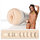 Tori Black Fleshlight Girls Lotus Fleshlight