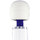 Lovehoney Mains Powered Magic Wand Vibrator