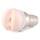 Lisa Ann Fleshlight Girls Forbidden Fleshlight