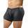 Male Power Shiny Spandex Trunk Shorts