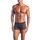 Fantasy Excite See Through Striped Boxer Shorts