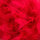 Feather Marabou Boa