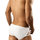 Pikante Mesh Panel X Brief Pants