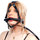 Leather Bit Gag with Reins