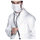 Doctor's Stethoscope