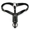 Kinklab Anal Plug Harness With Cock Ring