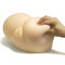 Utensil Race Extreme Hip Life Size Realistic Japanese Vagina and Ass